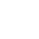 見どころ