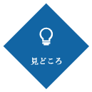 見どころ